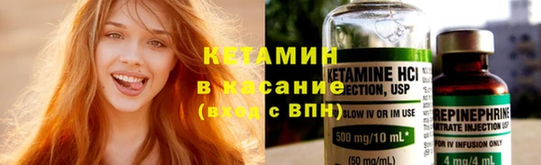 прущие грибы Белая Холуница