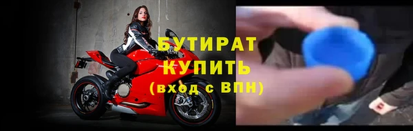 прущие грибы Белая Холуница