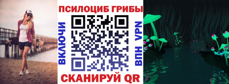 как найти закладки Южно-Сухокумск Псилоцибиновые грибы мицелий